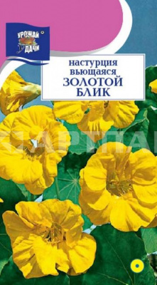 Семена Настурция Золотой блик вьющ ц.п (УУ)