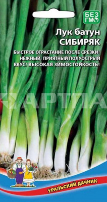 Семена Лук батун "Сибиряк" раннеспелый, 0,25 г, Уральский дачник