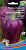 Семена Перец сладкий Гигант фиолетовый F1 (УД) 