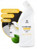 Средство чистящее для сан. узлов Gloss-Gel Professional 750мл