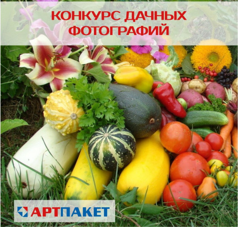 Летний розыгрыш от АРТПАКЕТ