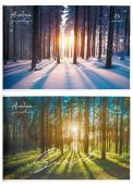 Альбом д/рисования 24 л. А4 склейка Schoolformat Закат в лесу