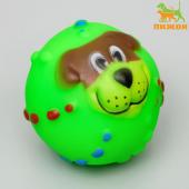 Игрушка пищащая "Мяч Джим"для собак, 6 см, микс  157429