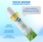 Освежитель воздуха Kool 300 мл после дождя