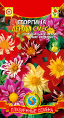 Семена Георгина "Денди" полумахровая, 13 шт, Плазменные семена