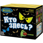 Салют "Кто здесь?" (0,7 х 48) Р7027