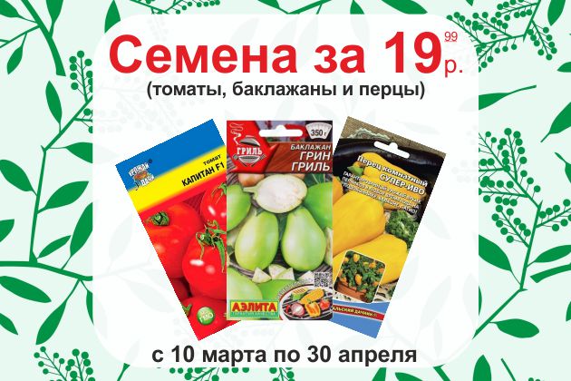 Семена по 19,99 рублей.