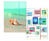 Папка на резинках FOREVER SUMMER А4 арт.11264512 Папка на резинках FOREVER SUMMER А4 арт.11264512