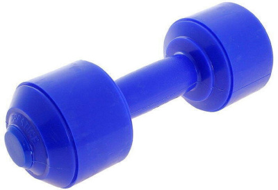 Гантели 1,0 кг 