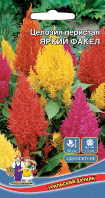 Семена Целозия перистая "Яркий факел" 0,1 г, Уральский дачник