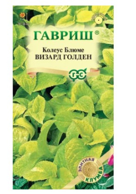 Семена Колеус "Визард Голден" 4 шт, Гавриш