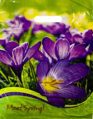 Пакет ПЭ, 29х40 см, 40 мкм, с вырубной ручкой, "Крокусы"