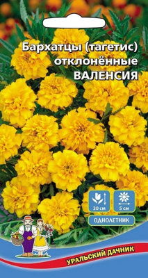 Семена Бархатцы отклоненные "Валенсия" низкорослые, 0,2 г, Уральский дачник  