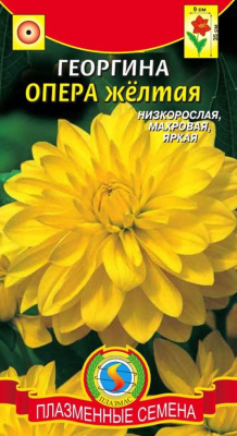 Семена Георгина "Опера" махровая, желтый, 10 шт, Плазменные семена