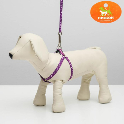 Комплект "Классика" шлейка 28-47см+поводок 120см, 767779      