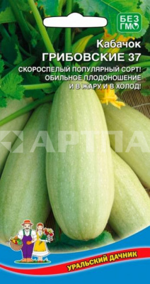 Семена Кабачок "Грибовский 37" раннеспелый, 8 шт, Уральский дачник
