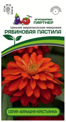 Семена Цинния "Рябиновая пастила" мариландская махровая, 5 шт,  2-ой пакет, Партнер