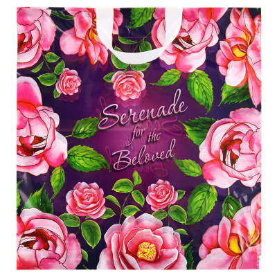 Пакет ПЭ, 40х42 см, 50 мкм, с петлевой ручкой, "Серенада"