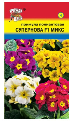 Семена Примула полиантовая "Супернова" F1, 3 шт, Урожай удачи