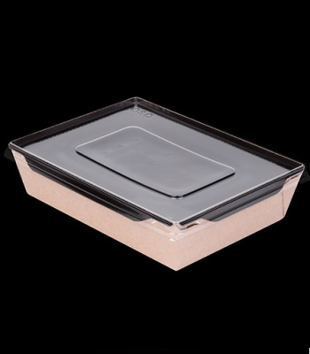 Контейнер OSQ OpSalad 1000 мл, 200/222x140/162x55 мм