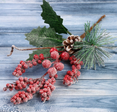Декор "Зимние грезы" гроздь ягод шишка иней 22см 4301747
