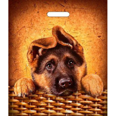 Пакет ПЭ, 40х47 см, 45 мкм, с вырубной ручкой, "Рекс"