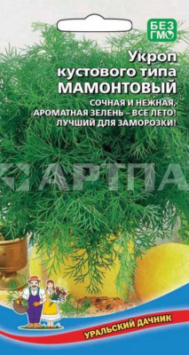 Семена Укроп "Мамонтовый" среднеспелый, 2 г, Уральский дачник