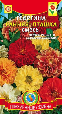 Семена Георгина "Ранняя пташка" полумахровая, смесь окрасок, 12 шт, Плазменные семена