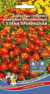 Семена Бархатцы  отклоненные "Елена прекрасная" махровые, 0,2 г, Уральский дачник  