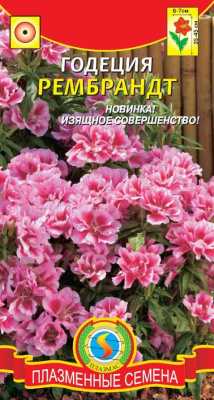 Семена Годеция "Рембрандт" махровая, 0,05 г, Плазменные семена