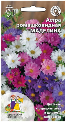 Семена Астра "Маделина" ромашковидная, 0,25 г, Уральский дачник