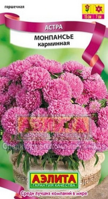 Семена Астра "Монпансье" густомахровая, карликовая, карминная, 0,2 г, Аэлита