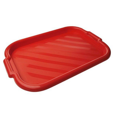 Поднос 39х27см IS10102