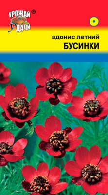 Семена Адонис летний "Бусинки" 0,1 г, Урожай удачи