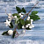Декор "Зимняя магия" белые ягоды листья 35 см 4301804